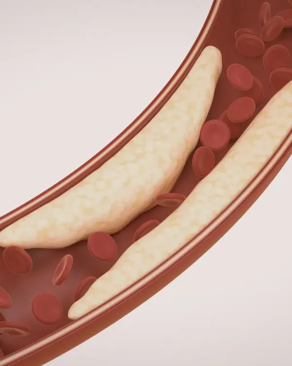 ¿Por Qué Tus Pacientes Siguen Sufriendo?